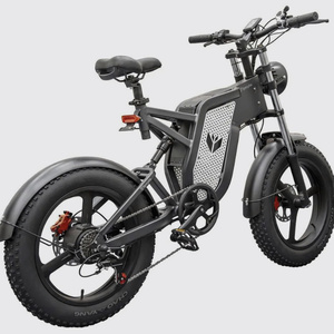 Electric fatbikes for 1 bike 80000 tokens