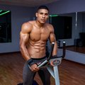 teddyfit19cm