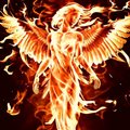 Anya_Phoenix