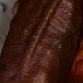 haribo2010