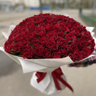 101 Red roses