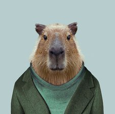 SuspiciousCapybara