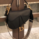 Dior Saddle Bag with Gold Hardware