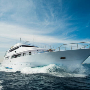 I want a yacht to rock on the waves