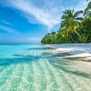 Relaxing Break Away! - 55,000tks