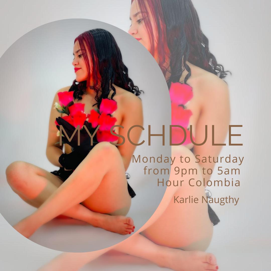 KarlieNaugthy My Schdule image: 1