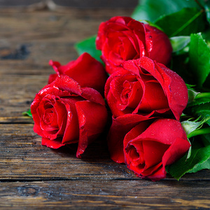 Roses/Розы