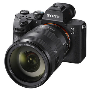I really want a professional camera
