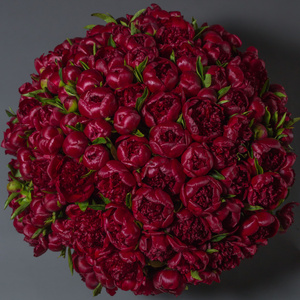 just love flowers