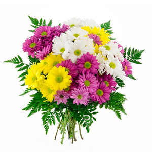 My favorite flowers