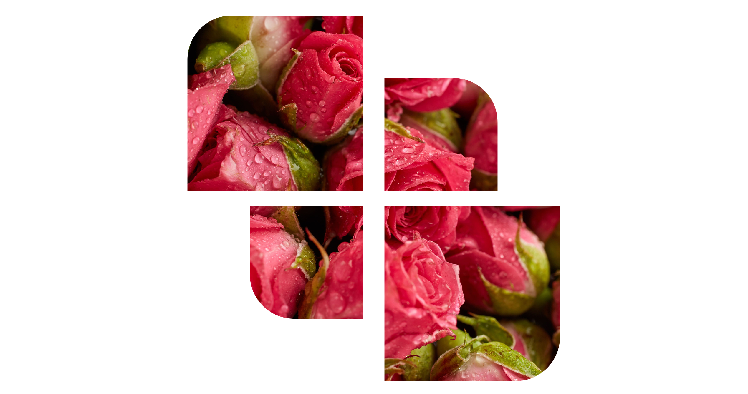 MelanieWilliams Kiss image: 7
