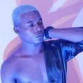 ebony-stallion