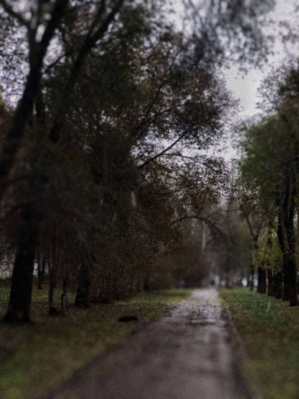 lenaaaddictioon красота в глазах смотрящего image: 9