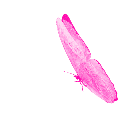 trissmoon Let's share fantasies! image: 7