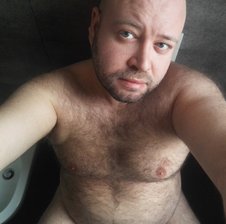 italianbear