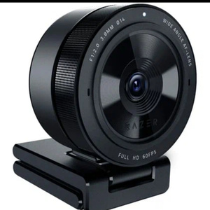 Webcam and light