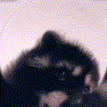 Gh0st1a