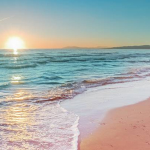 Trip to the seashore