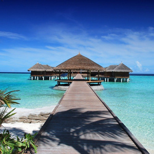Make our weeding on an island