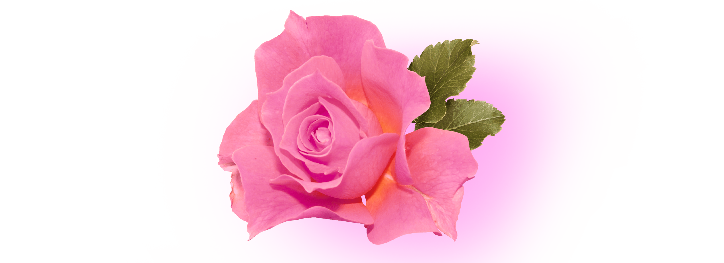 CandiceFord Kiss image: 5