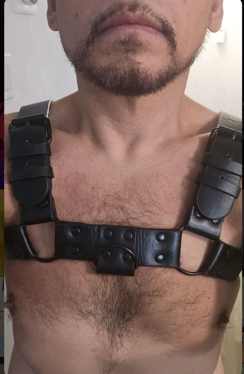 VersPig7 Four Fun Facts image: 1