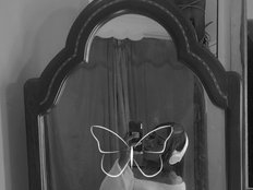 EveeQueenTS's avatar