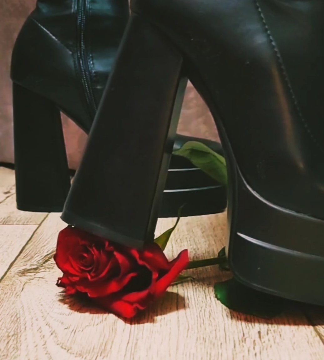 Starfeet Red and black image: 1
