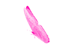 KyraTease Kiss image: 2