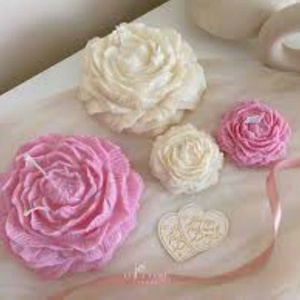 Beautiful flower