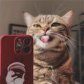Alex1mm