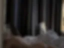 18+