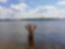 Nudist beach on the Volga 3