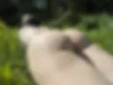 butt on the grass) 