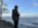 Mi