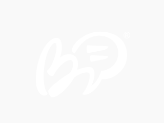 Free Live Sex Cams – Adult Sex Chat and XXX Live Porn Shows
