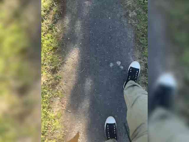 leecooper23