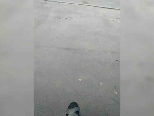 OVEH19