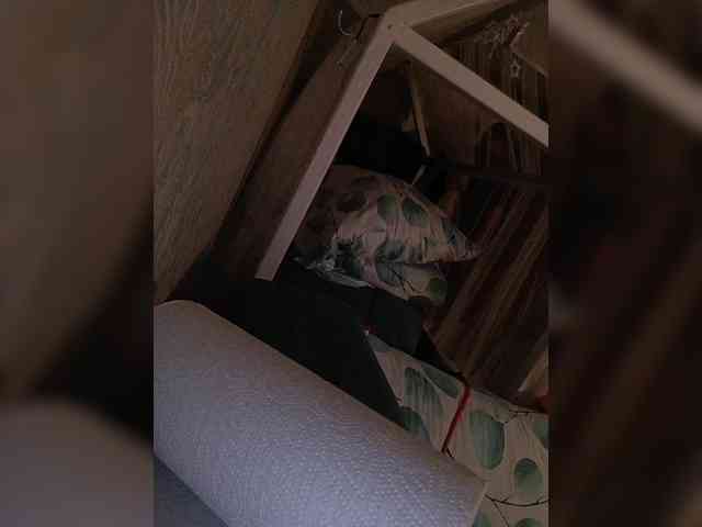 Tokin12501