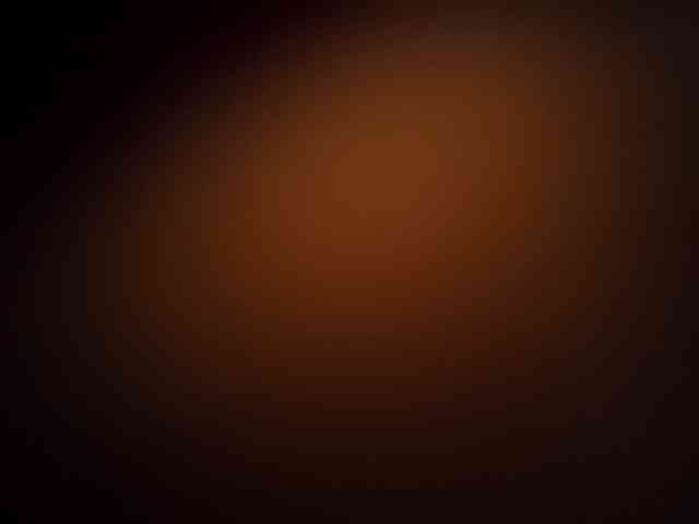 Waheed1