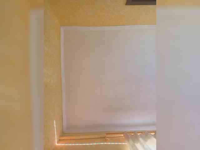 Lan047740